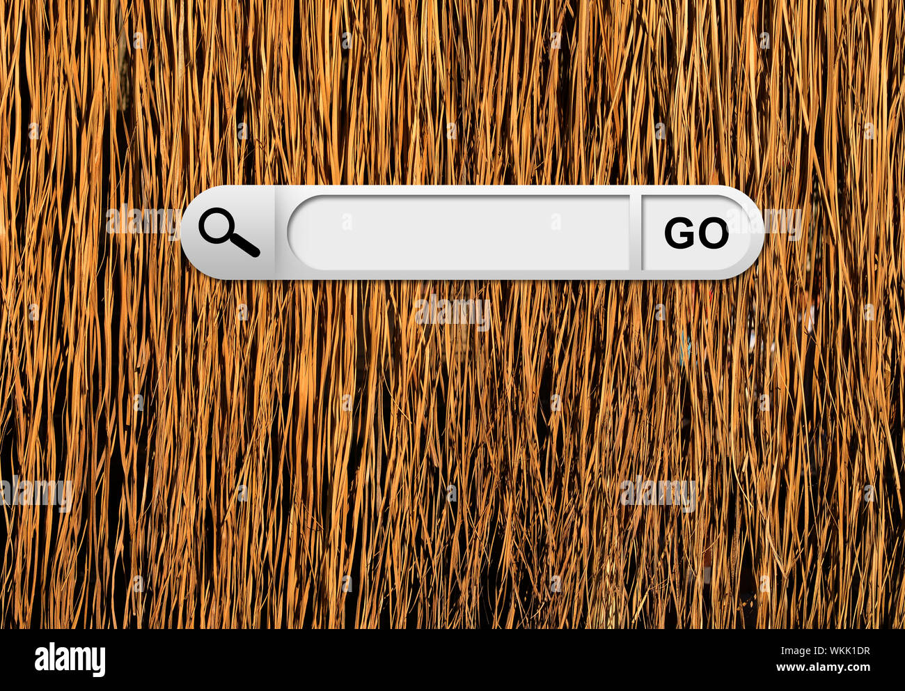 Search bar in browser. Yellow dry grass surface on background Stock Photo