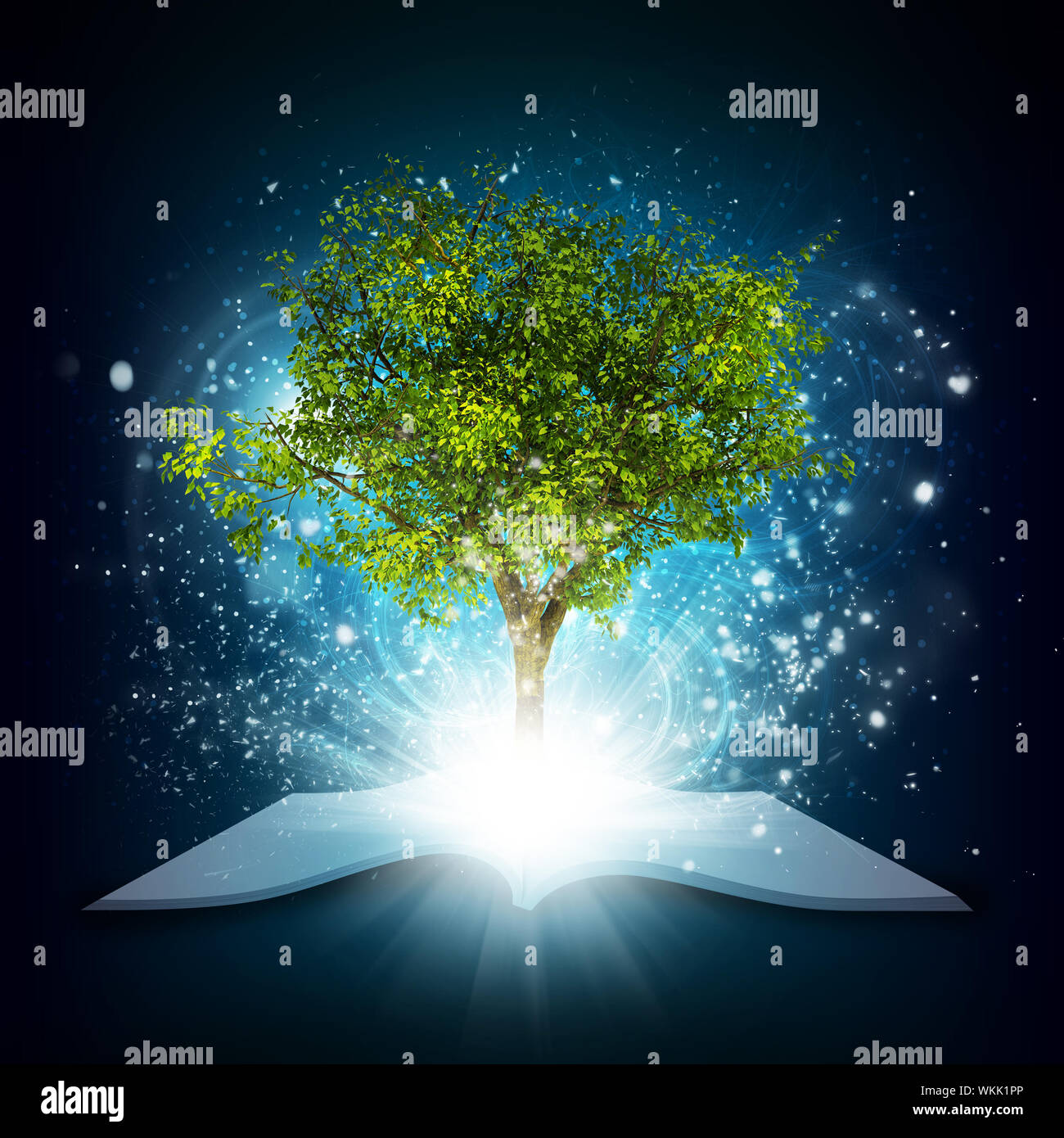 Open book with magical green tree and rays of light on dark background ...