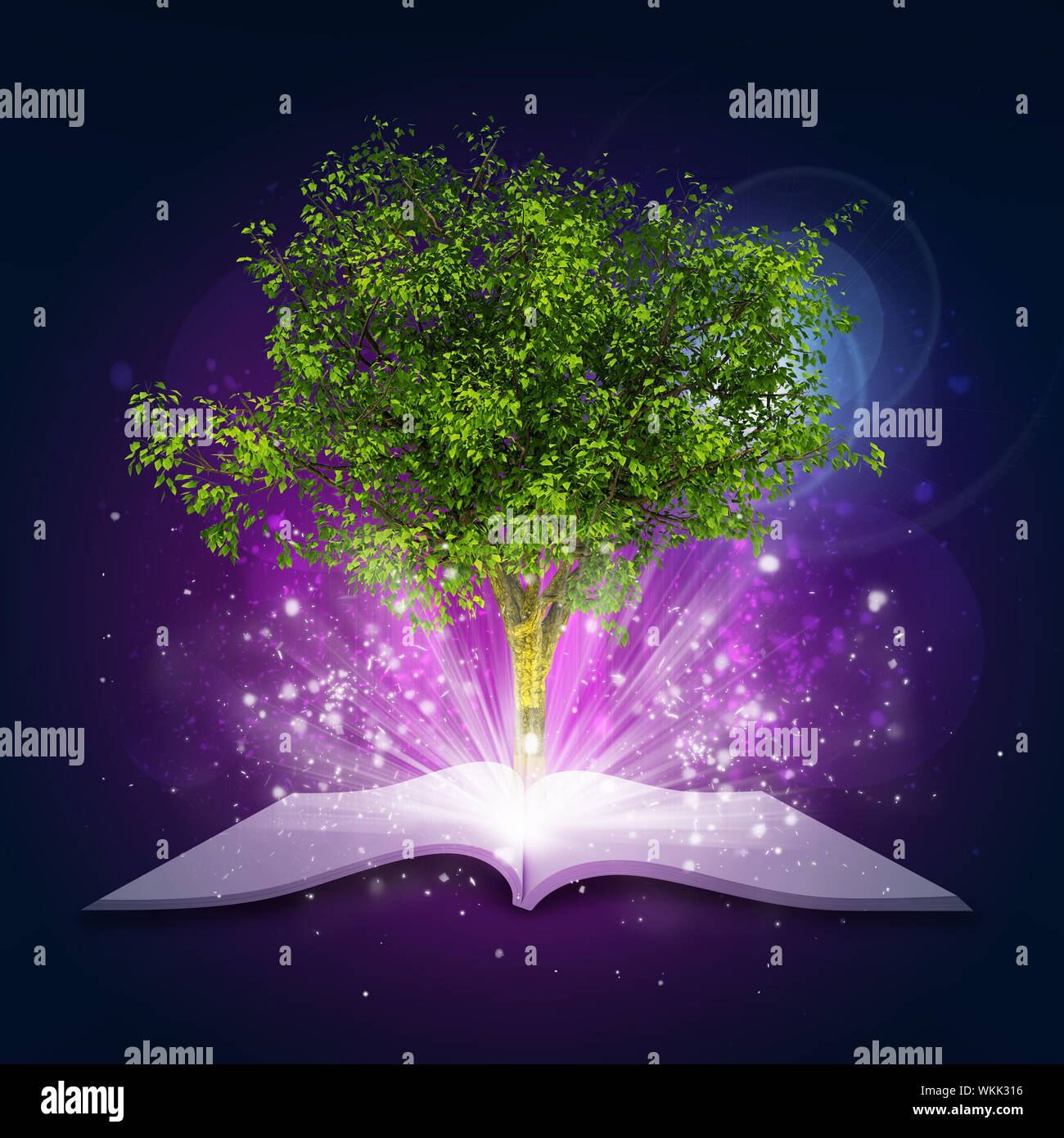Open book with magical green tree and rays of light on dark background ...