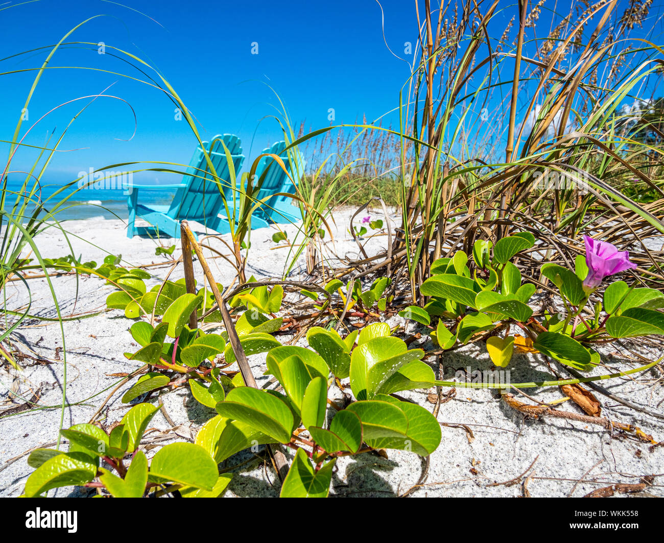 Beach chairs on Gulf of Mexico beach on Longboat Key Florida Stock Photo