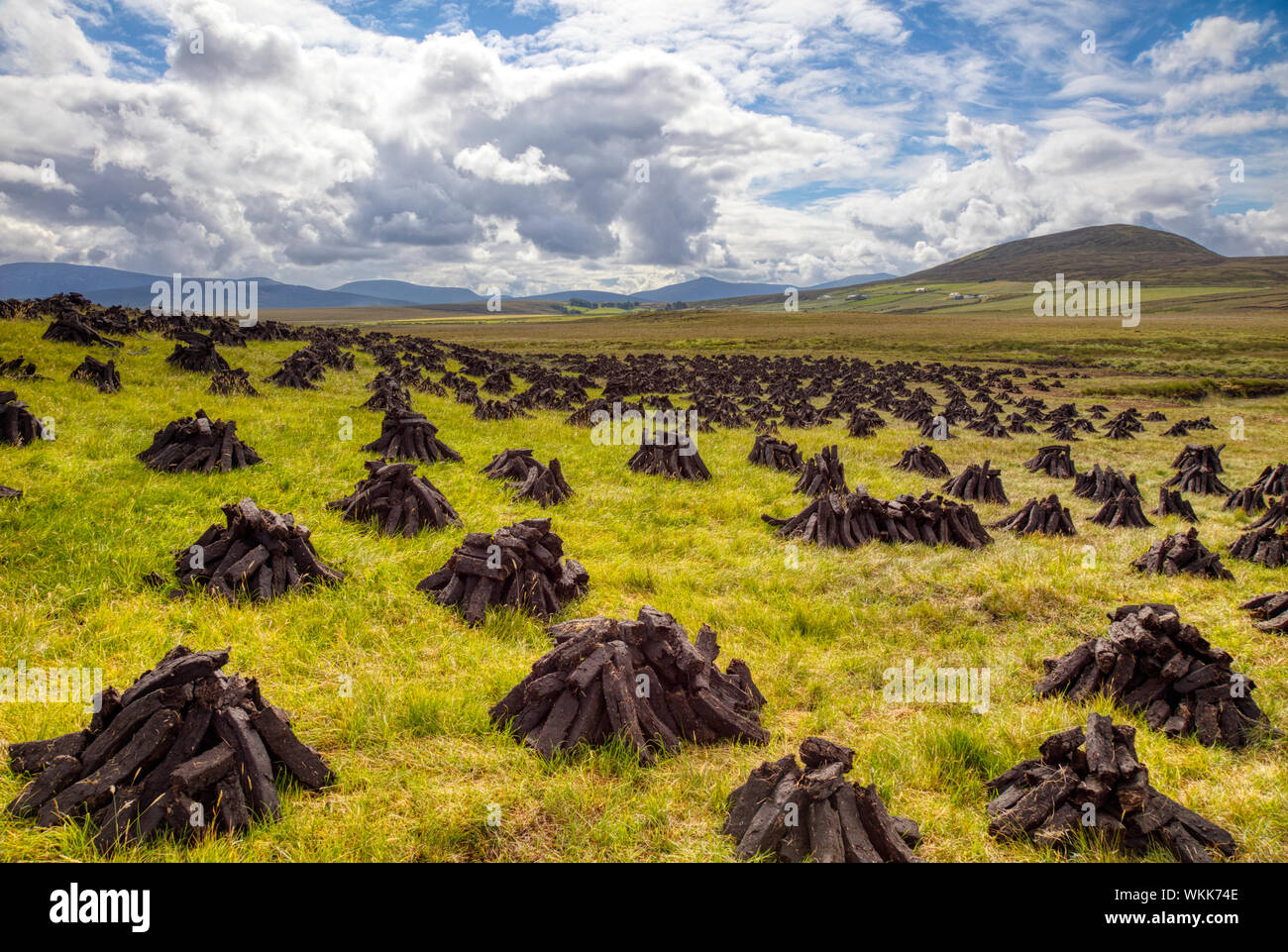Field of stacked Irish Turf or Peat drying in stacks in northwestern Ireland Stock Photo