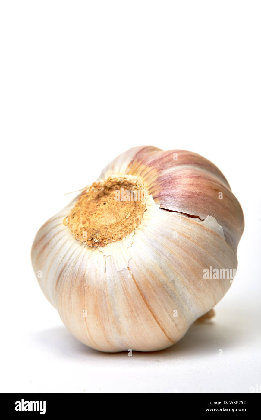 Close-up Of Garlic Bulb Over White Background Stock Photo