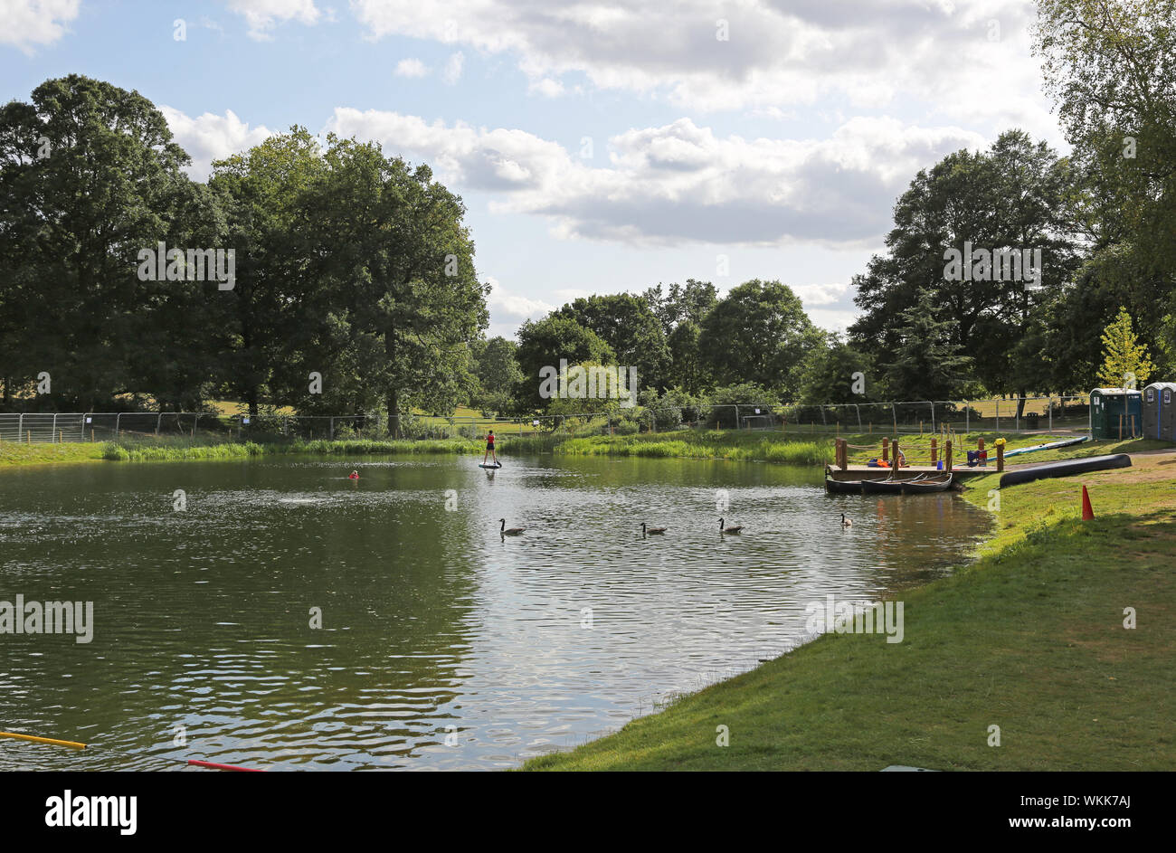 The new swimming lake at the recently remodelled Beckenham Place Park, southeast London, UK. Shows geese and customers with a hired paddleboard. Stock Photo