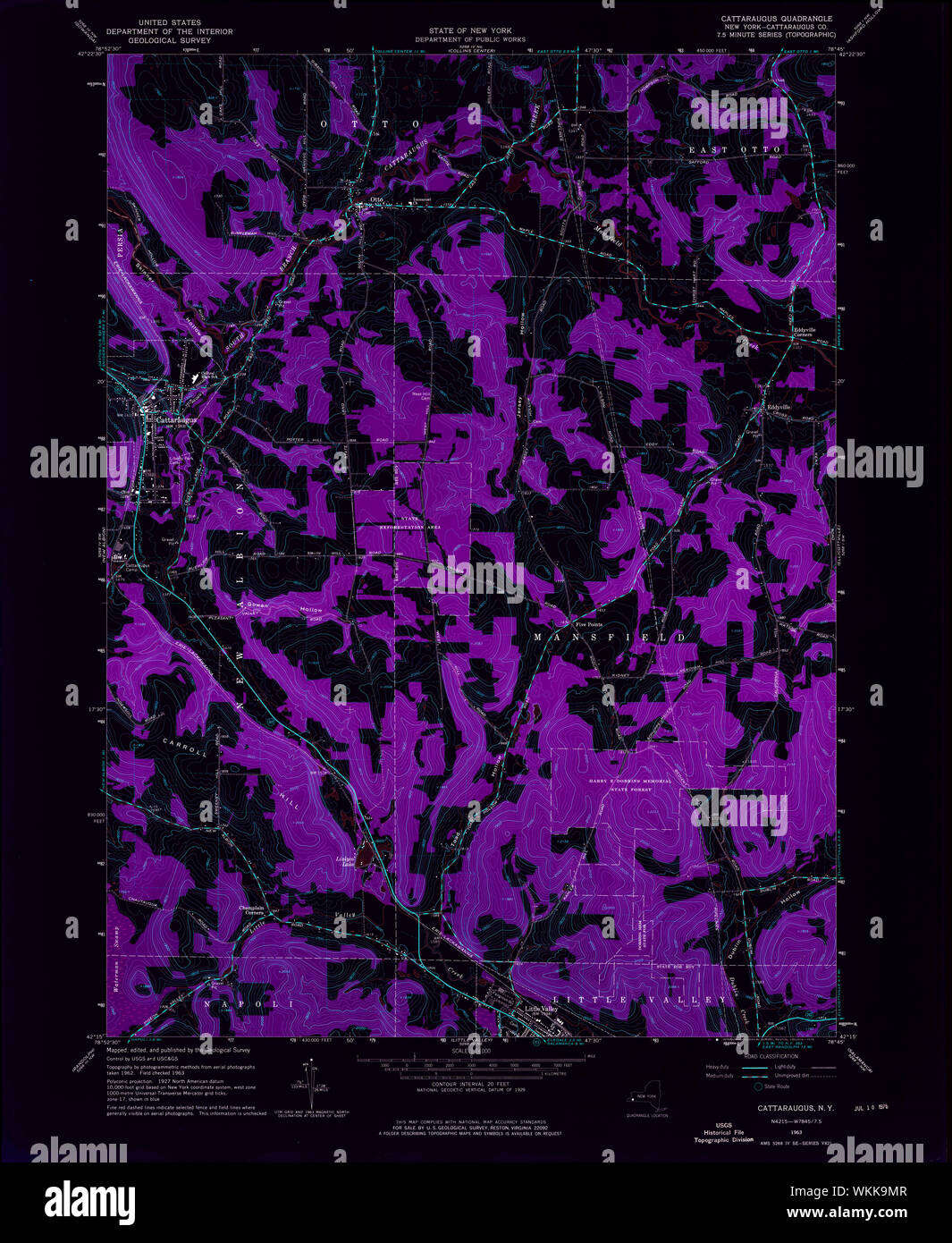 New York NY Cattaraugus 122869 1963 24000 Inverted Restoration Stock