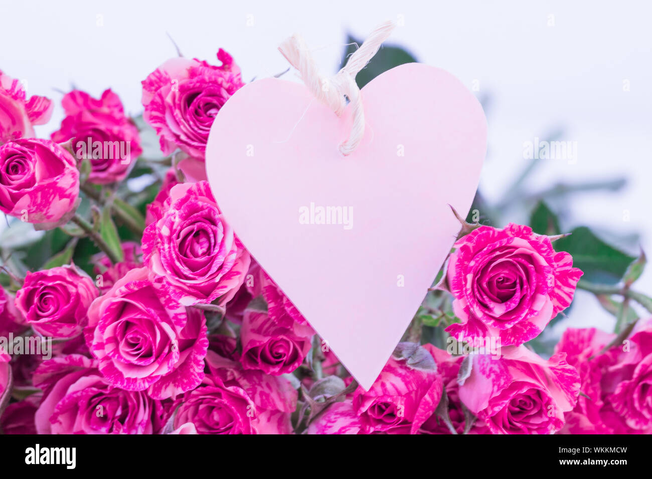 Pink roses heart hi-res stock photography and images - Alamy