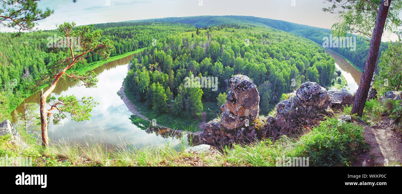 panoramic view of siberian taiga landscape at summer Stock Photo