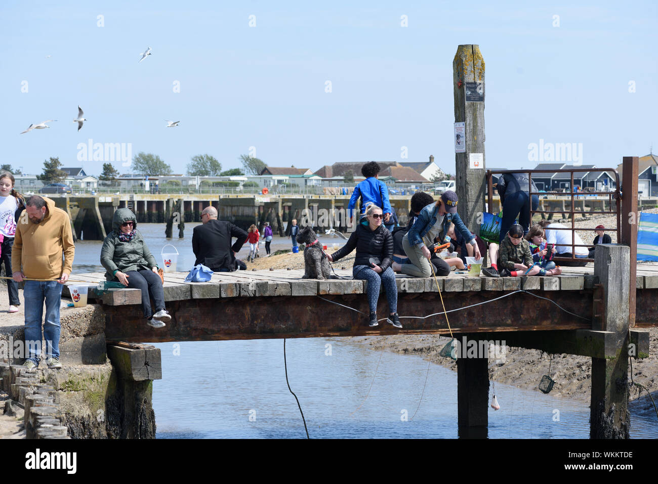 People crabbing walberswick suffolk england hires stock photography