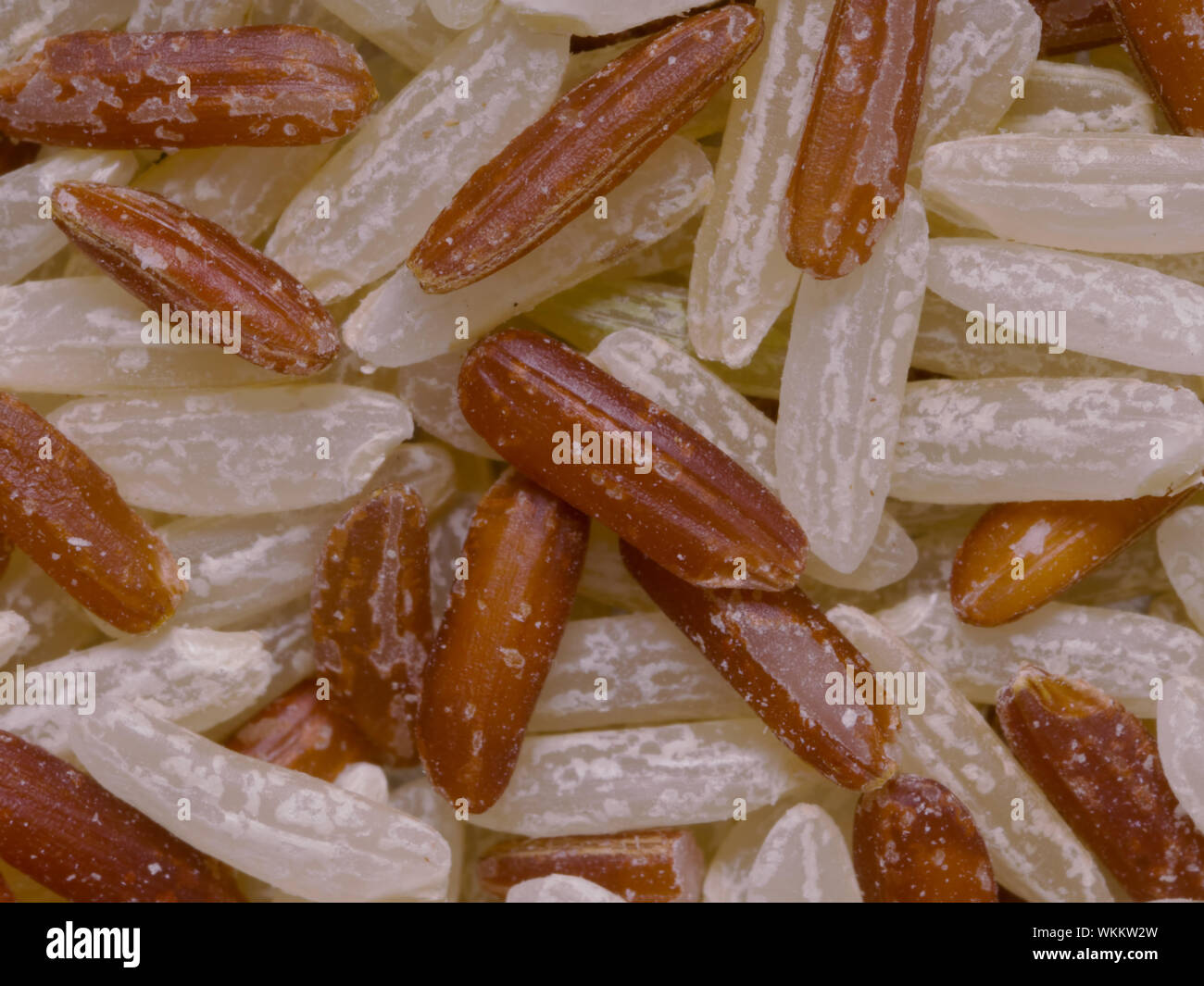 Unpolished rice fiber hi-res stock photography and images - Alamy