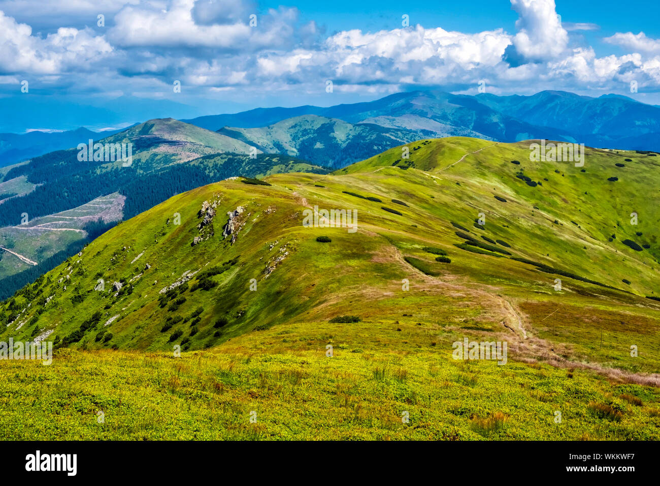 Velka chochula hi-res stock photography and images - Alamy