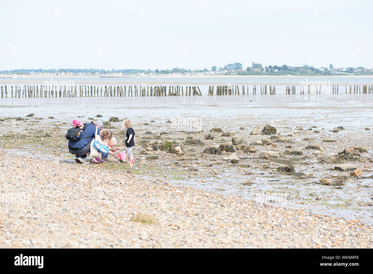 CUDMORE GROVE, ESSEX/ENGLAND - 1ST JUNE 2019 - People enjoying the seaside coast North Sea of Cudmore Grove on Mersea Island in Essex in the Summertim Stock Photo