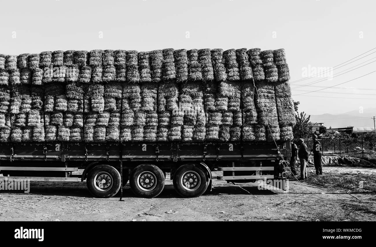 Hay bales on truck on hires stock photography and images Alamy