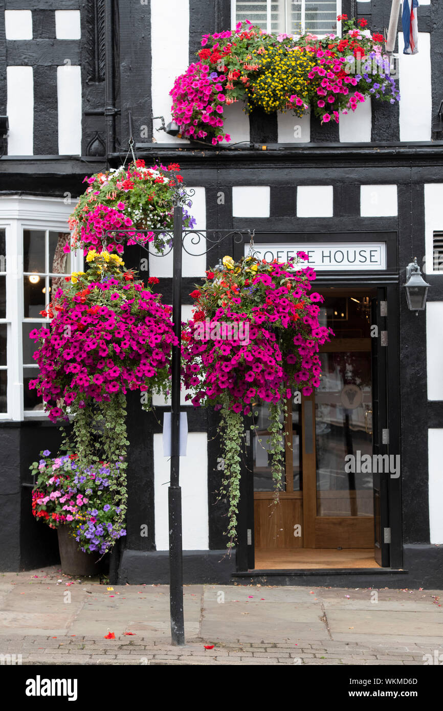 Floral hanging baskets and window boxes outside The Feathers hotel