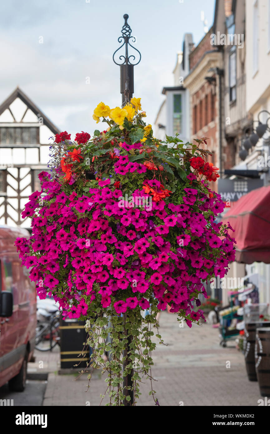 Floral hanging basket in Ledbury town centre. Ledbury, Herefordshire, England Stock Photo