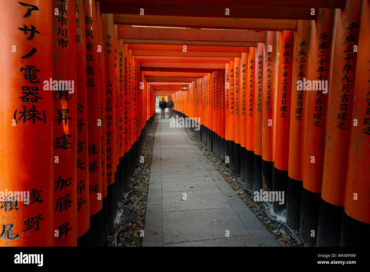 Pedestrian at Fushimi Inari-Taisha, Shinto shrine, way through hundreds of red traditional Torii gates, Fushimi Inari-taisha Okusha Hohaisho, Kyoto Stock Photo