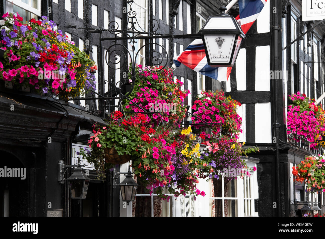 Floral hanging baskets and window boxes on The Feathers hotel. 16th