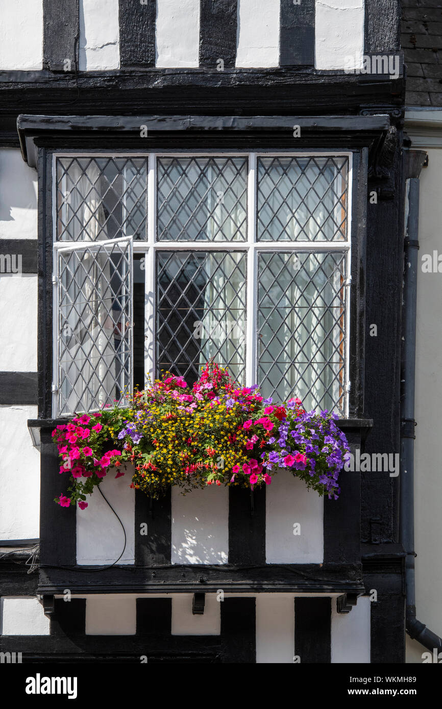 Floral window box on The Feathers hotel. 16th century timber framed period building, Ledbury Herefordshire. England Stock Photo