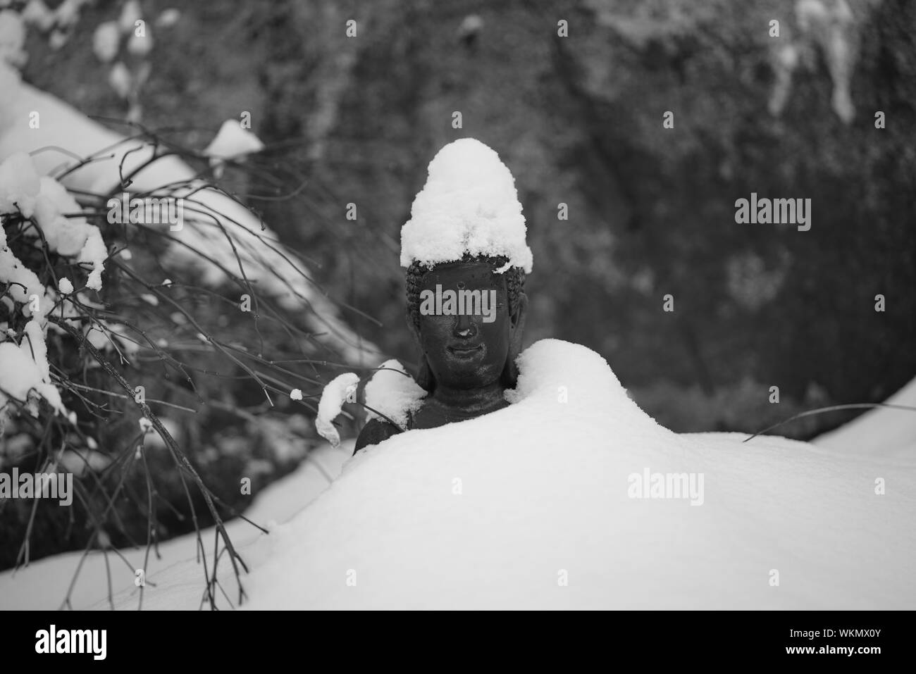 Woman Covering Face Covered With Snow 