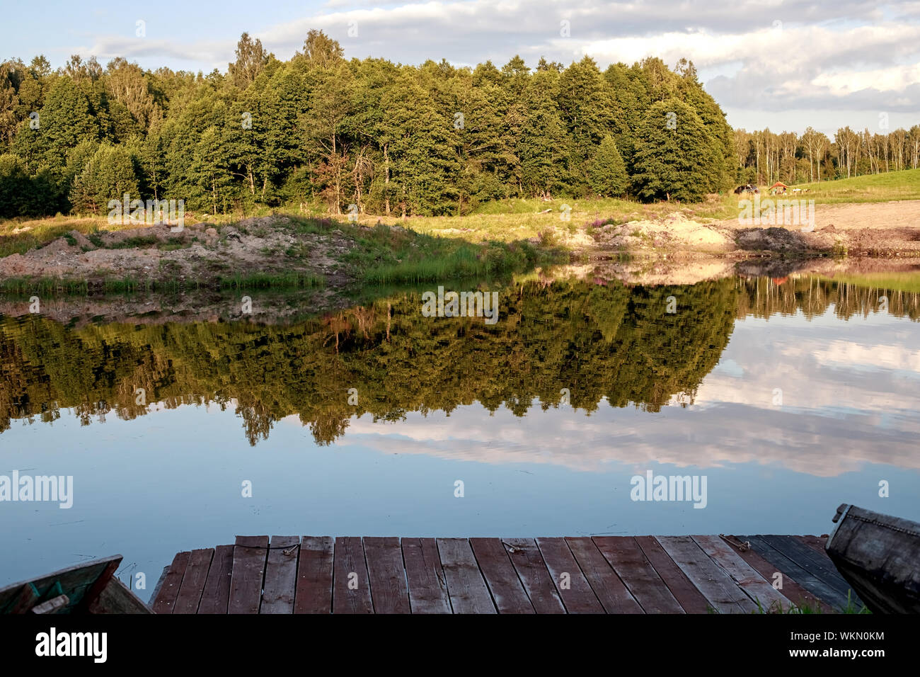 Rest zone. Blue water in a forest lake with pine trees. The forest is