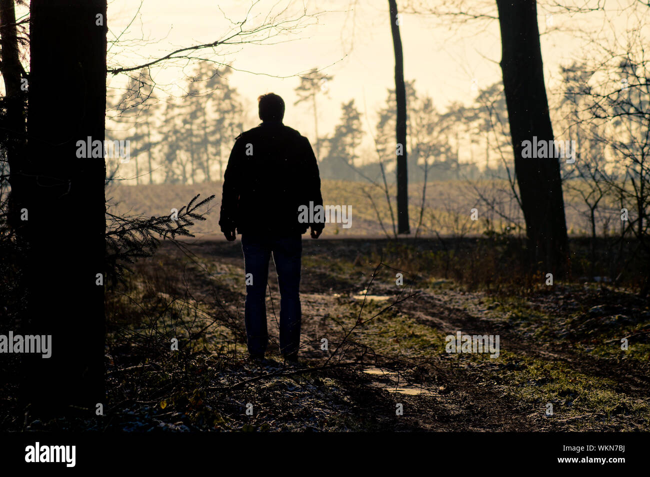 Silhouette man standing in forest hi-res stock photography and images ...