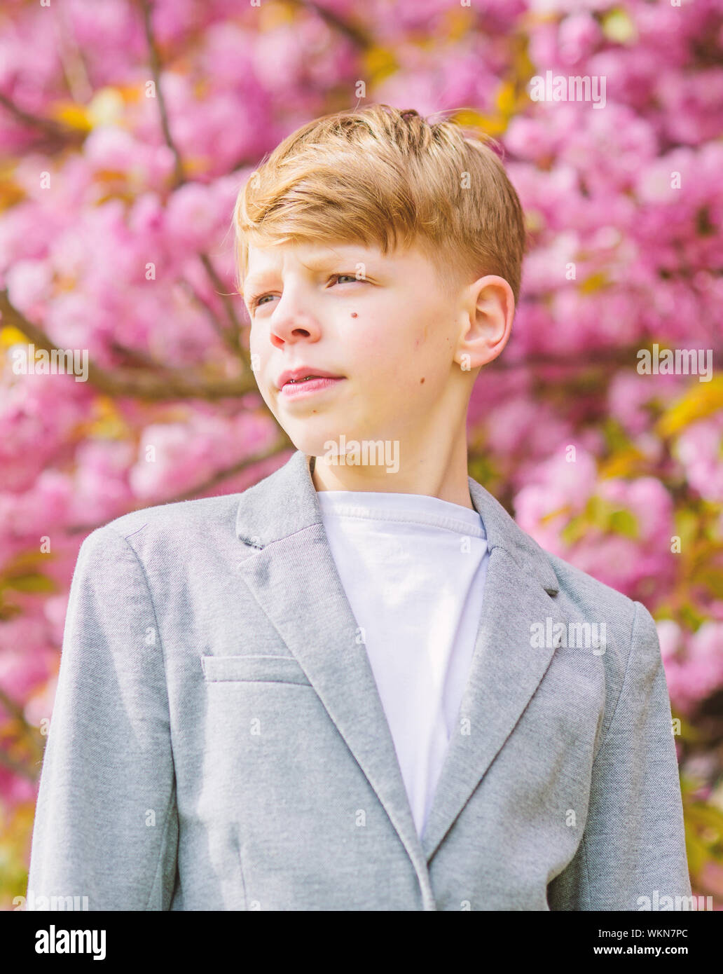 Guy enjoying cherry blossom sakura. Sakura garden concept. Confident