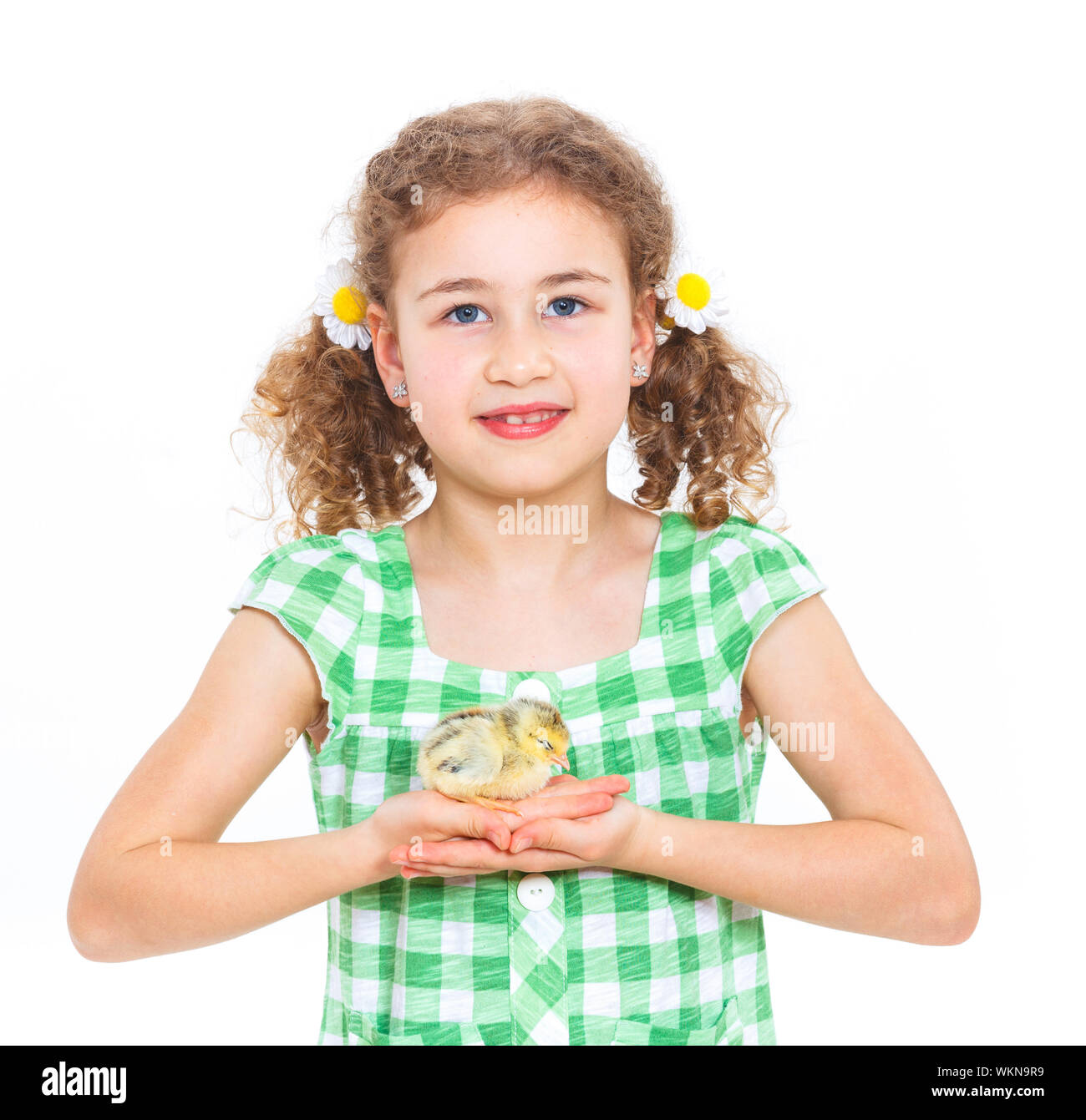 Happy little girl holding baby chickens - isolated white background Stock Photo