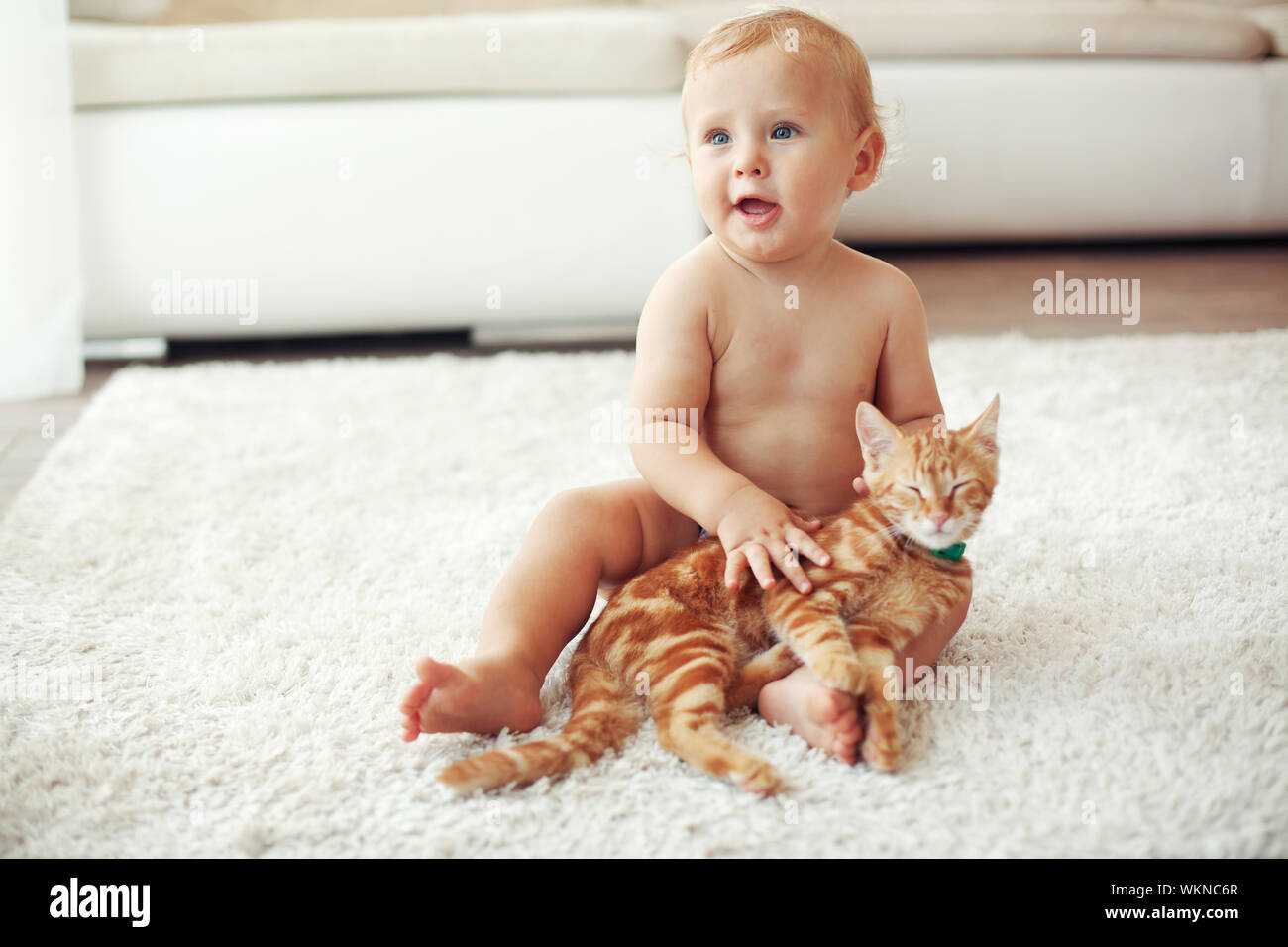 Детки играют с кисками. Дети и животные на ковре. Ребенок на ковре. Малыш и кот на ковре. Ребенок играет с котом.
