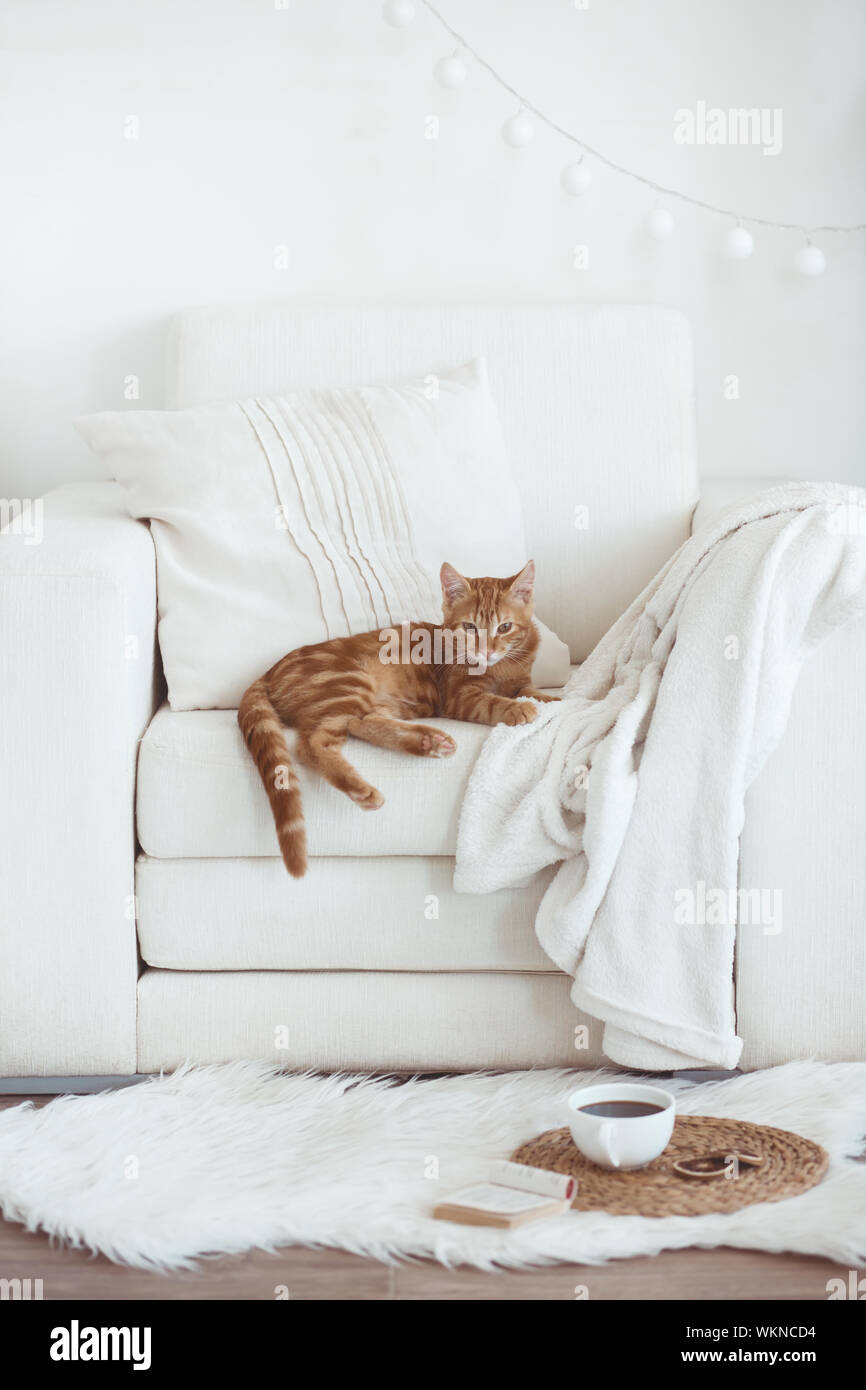 Cozy interior details Stock Photo - Alamy