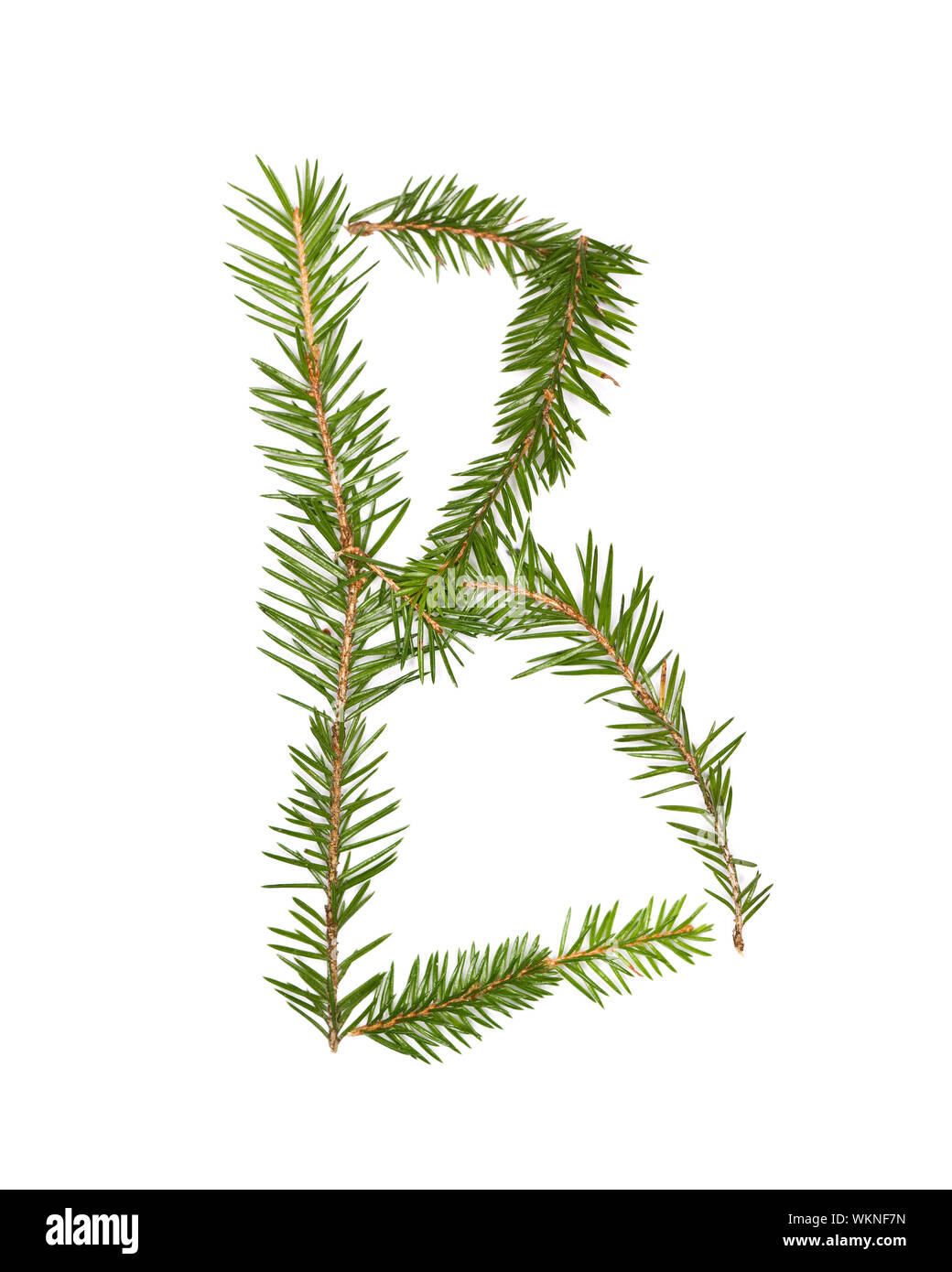 Spruce twigs forming the letter 'B' isolated on white Stock Photo Alamy