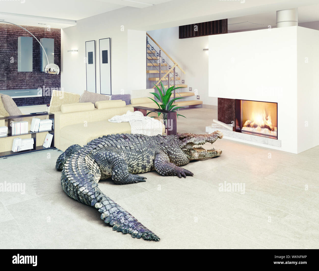 Big crocodile relax in the luxury interior (photo and cg elements 