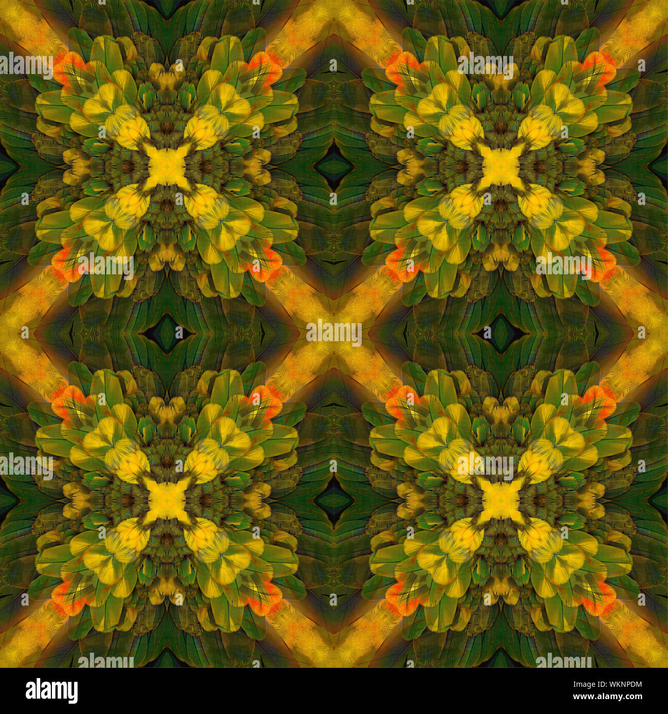 Seamless pattern made from Sun Conure feathers Stock Photo