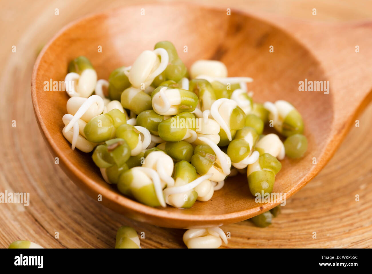 Sprouted mung beans Stock Photo Alamy