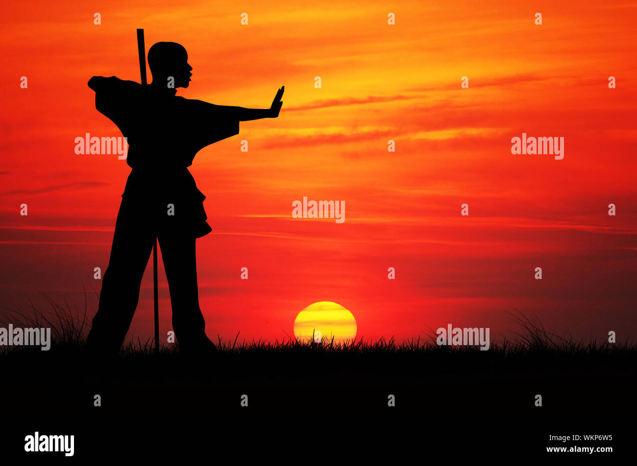 Kung fu silhouette hi-res stock photography and images - Alamy
