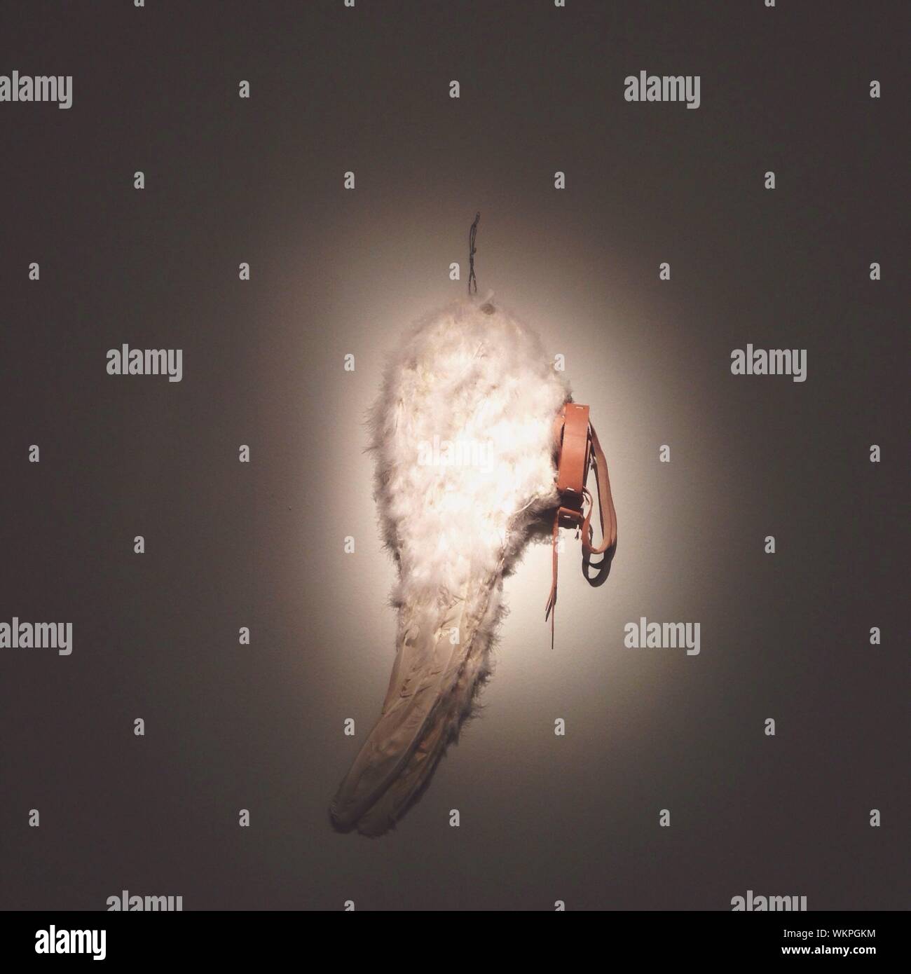 Fur Hanging On Wall Stock Photo Alamy