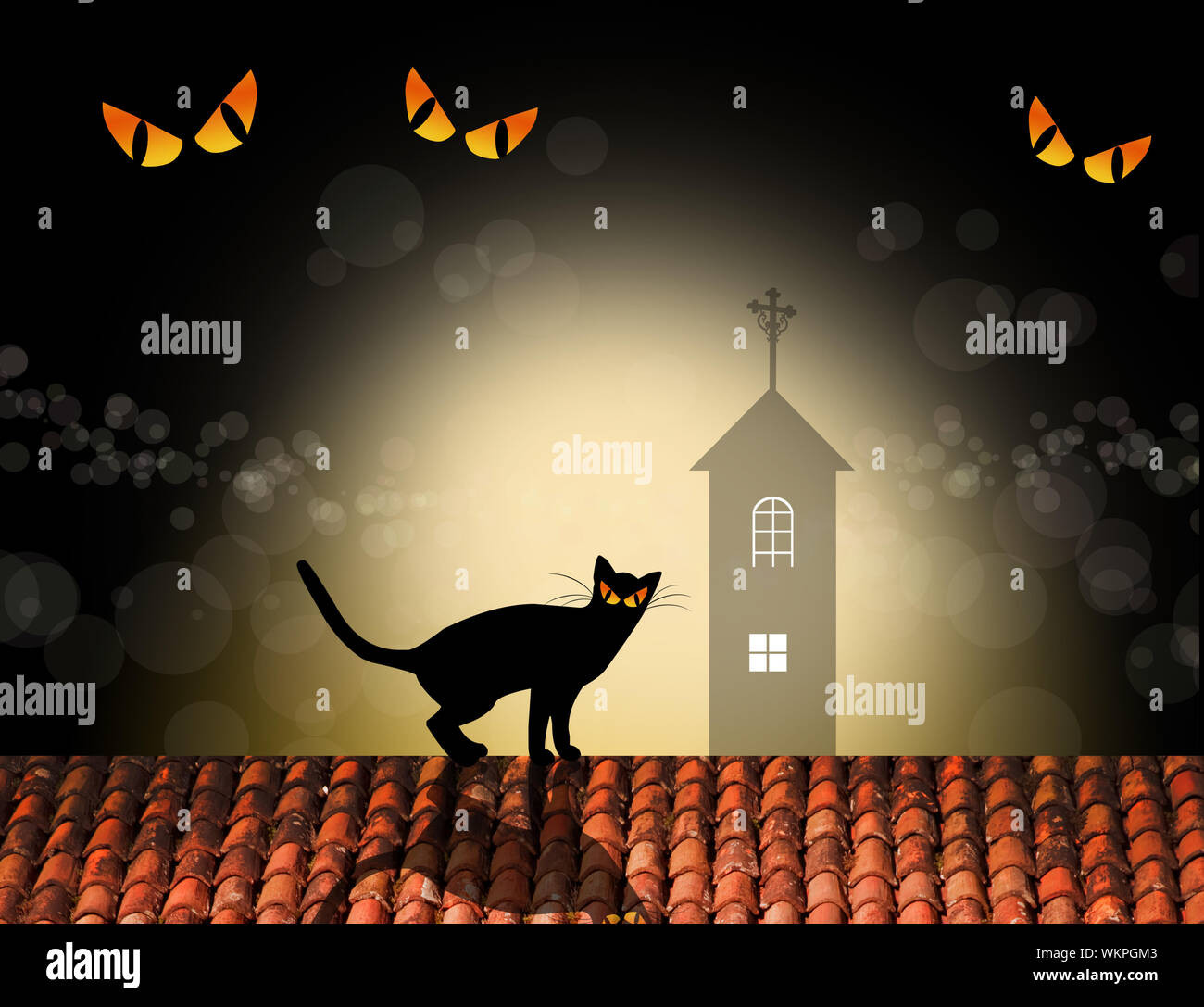 Cat on roof Stock Photo Alamy