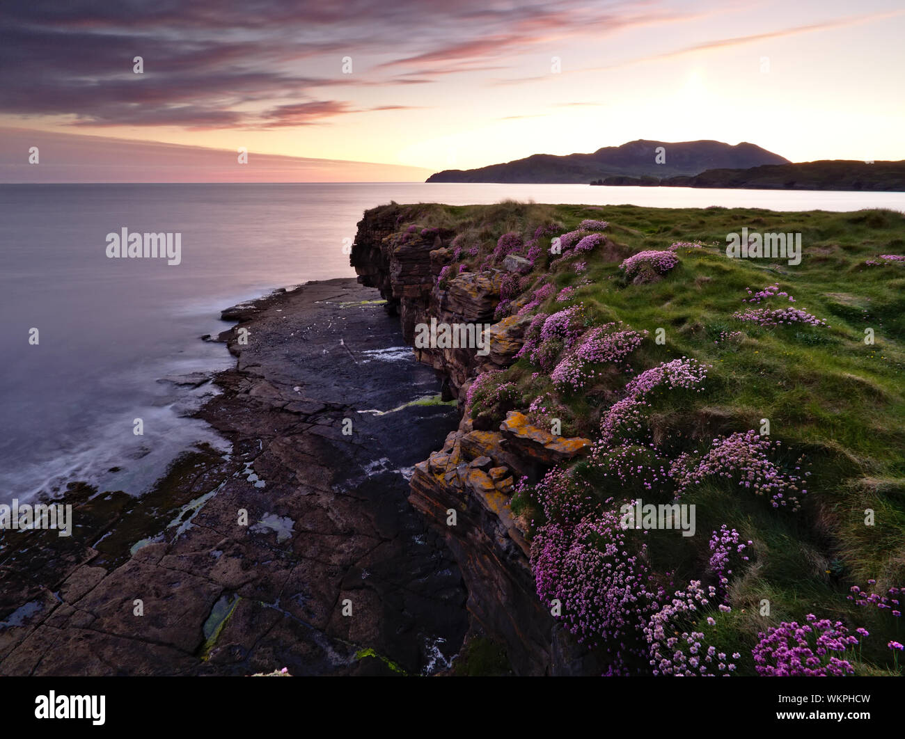 Sunset at Muckross Head, Co. Donegal with rocky shoreline dotted with small pink flowers in the foreground (long exposure) Stock Photo