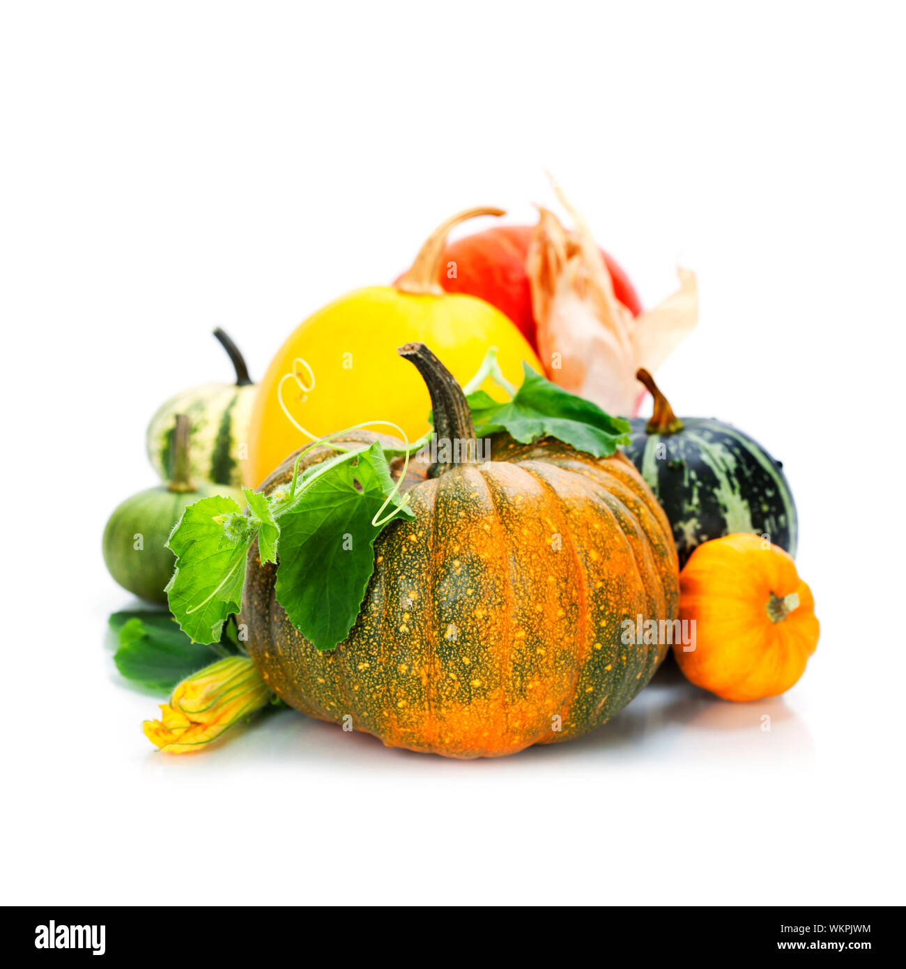 pumpkins over white background Stock Photo - Alamy
