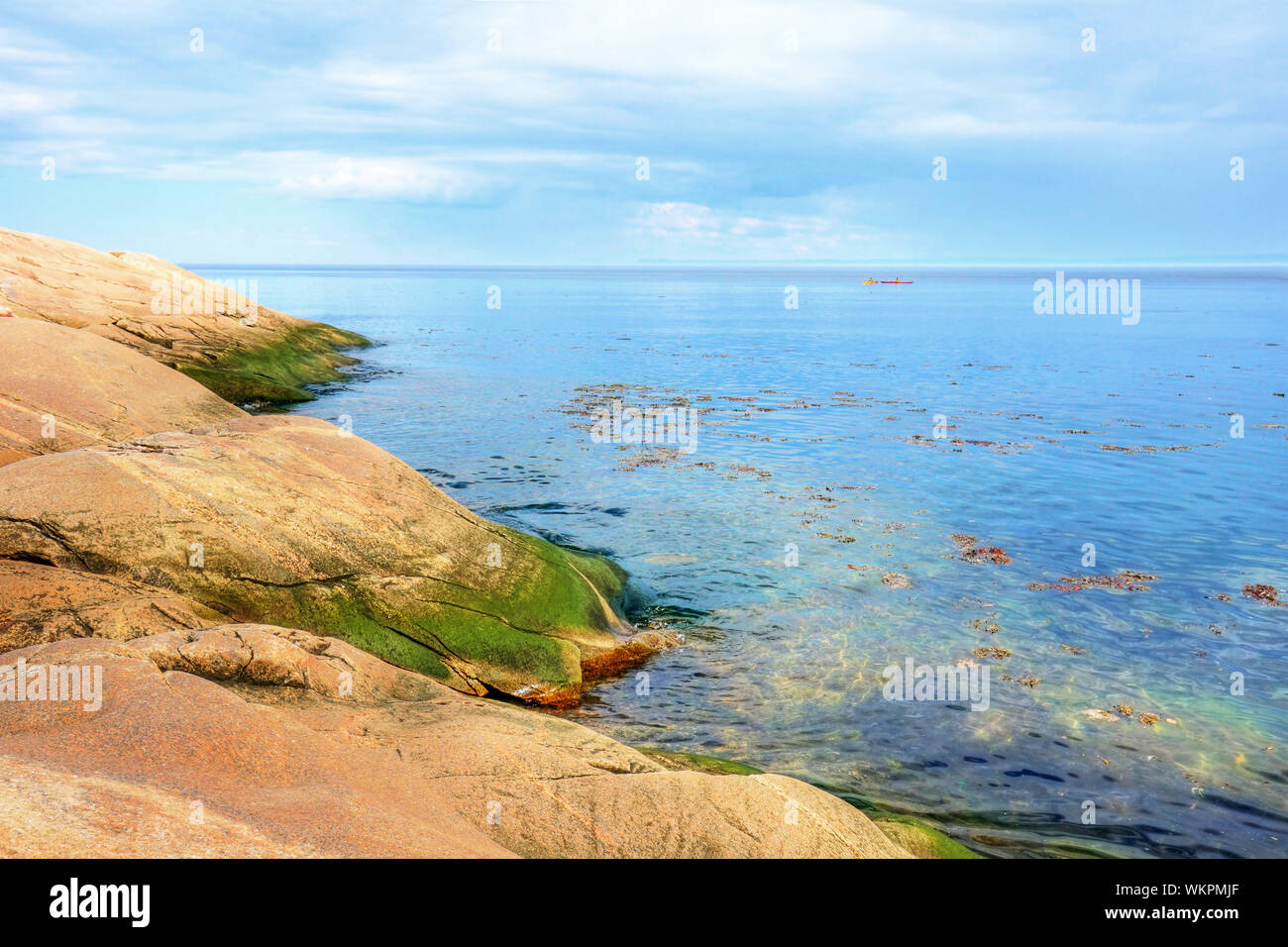 Beautiful coast with rocks, algae and the blue sea, kayaks very far. Stock Photo