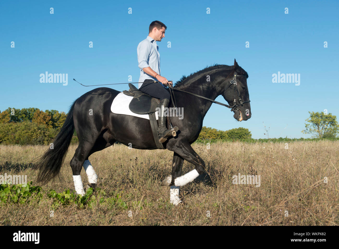 They have a horse. Девушка с лошадью. They have a horse. They have a horse. Конь единорог.