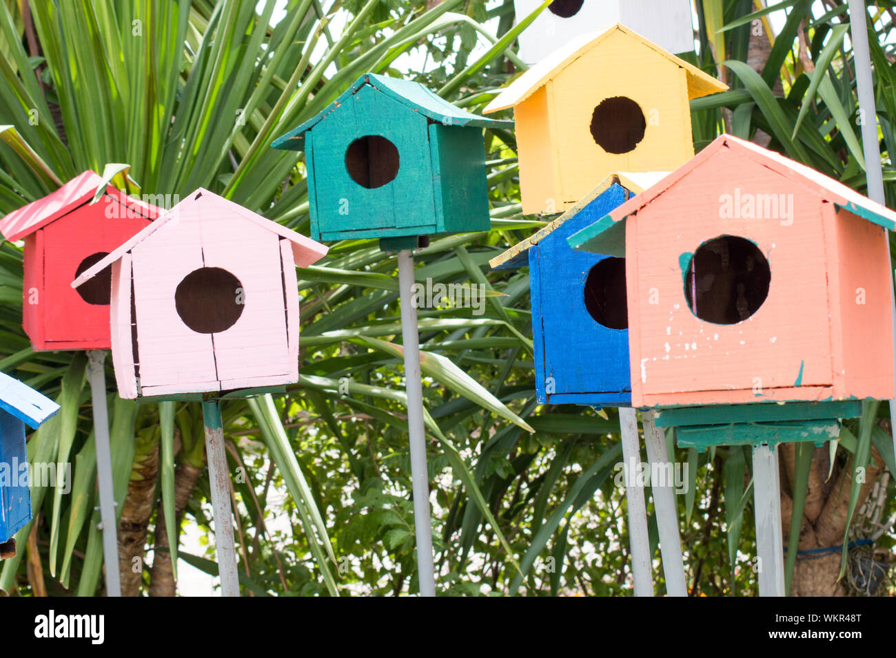 Multi Colored Birdhouses Against Plants Stock Photo