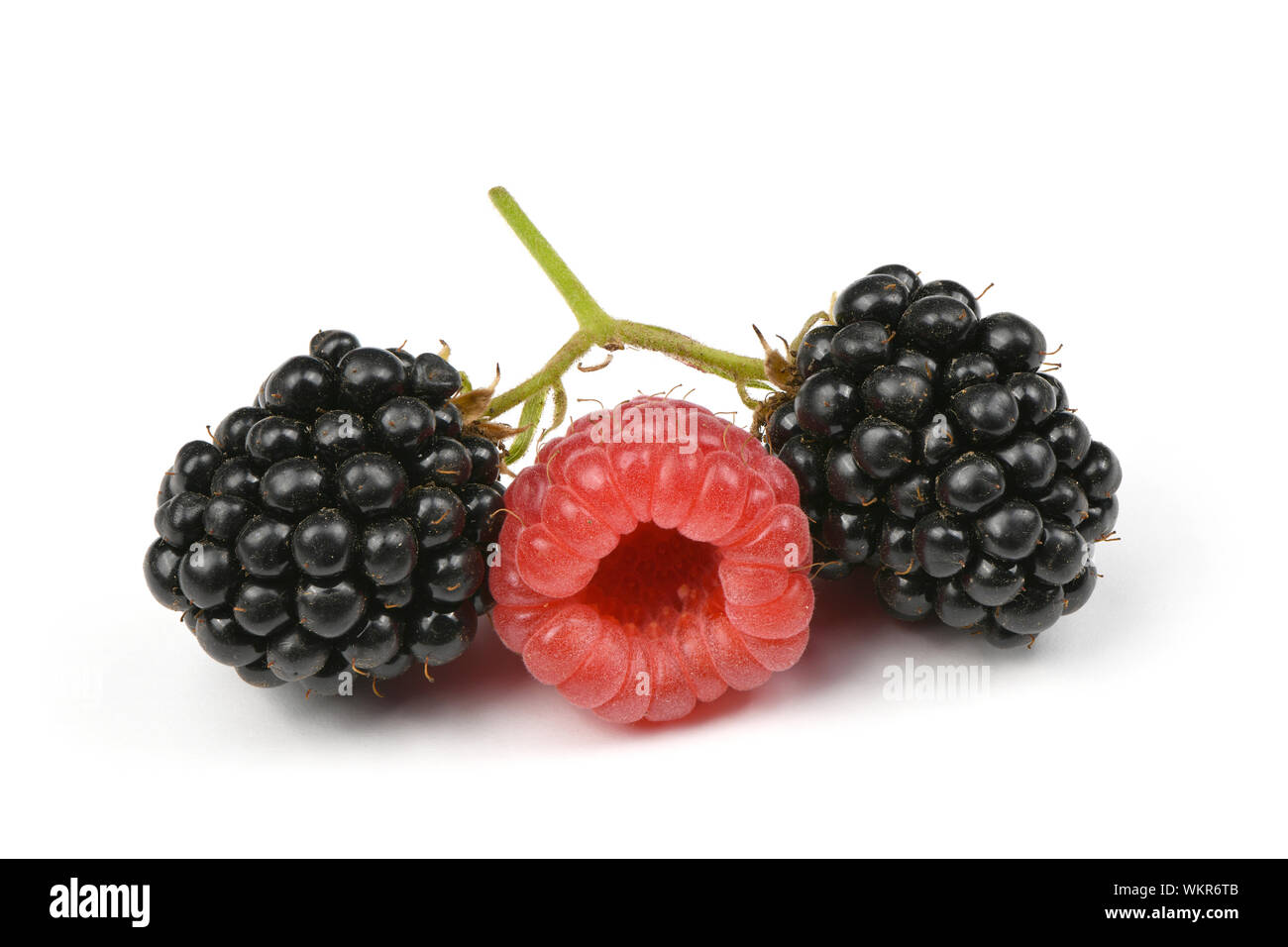 Ripe blackberry and raspberry isolated white background. High ...