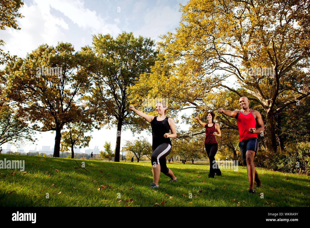 A group of young adults training martial arts in the park Stock Photo ...