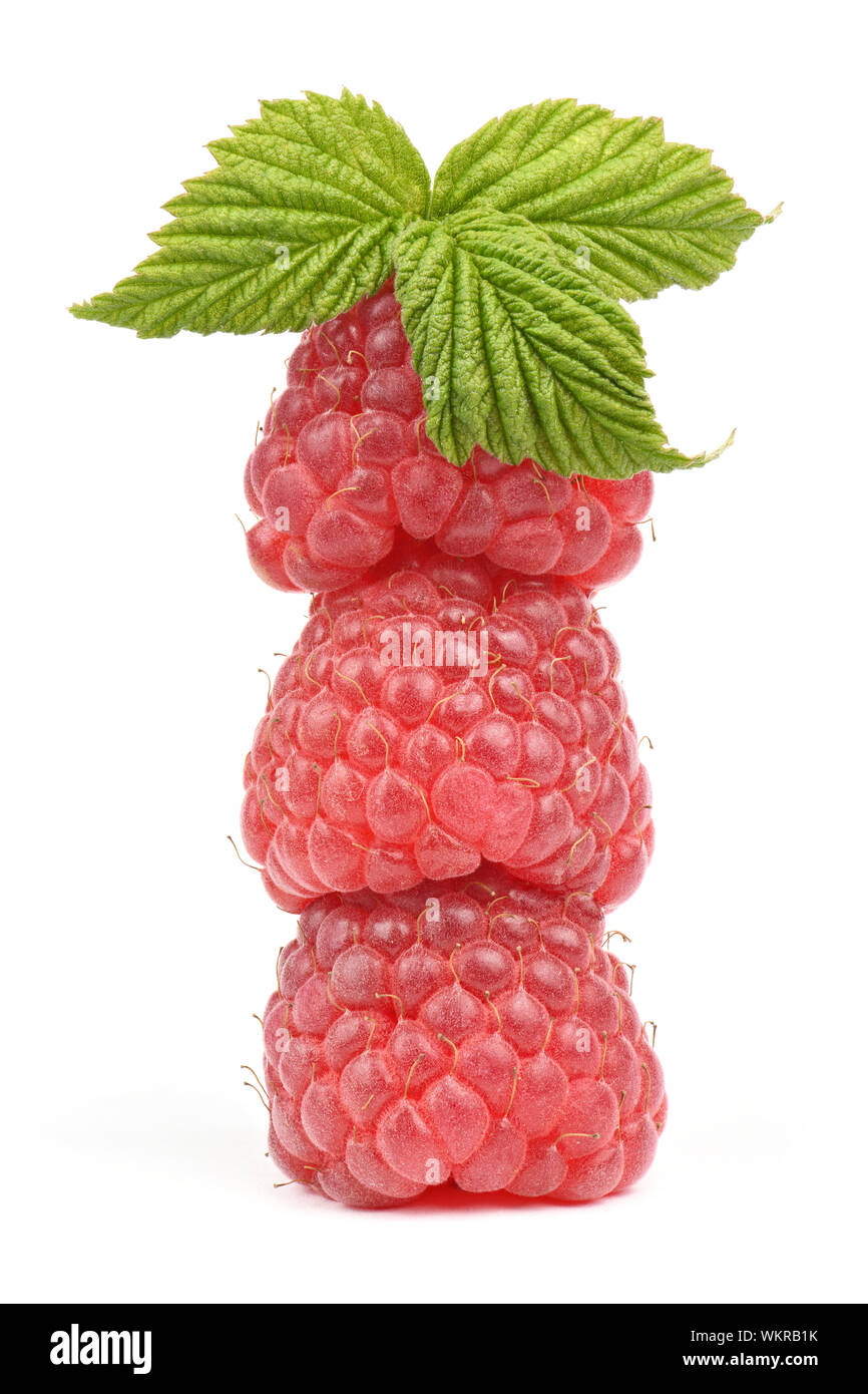 Three red raspberry berries isolated on white background. High ...