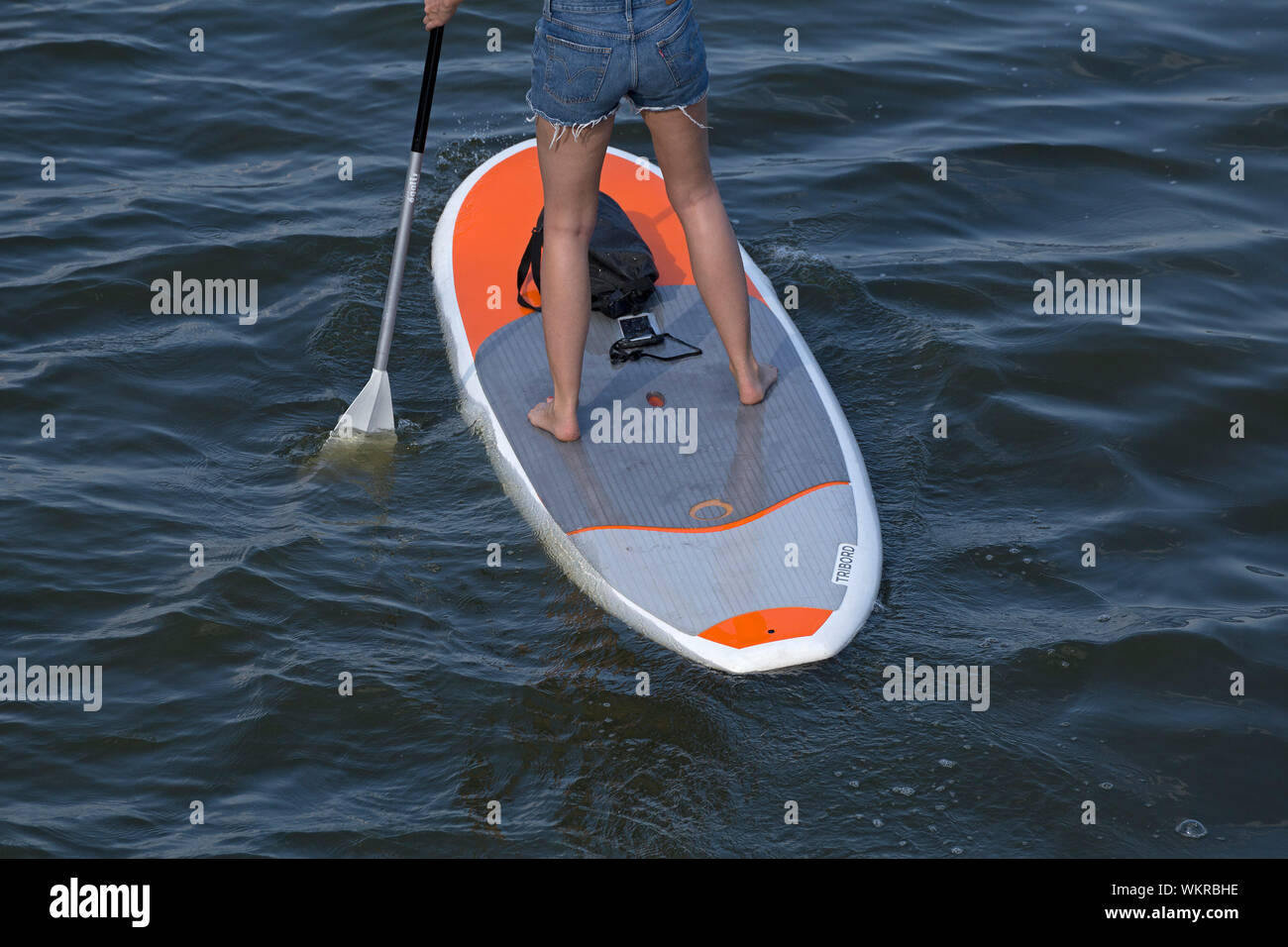 stand up paddling, Outer Alster, Hamburg, Germany Stock Photo Alamy