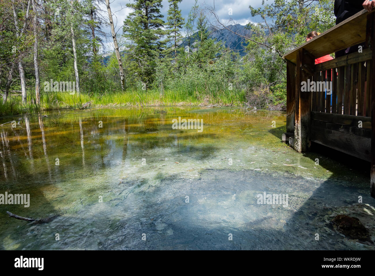 Marsh Loop Trail in Cave and Basin National Historic Site at Banff