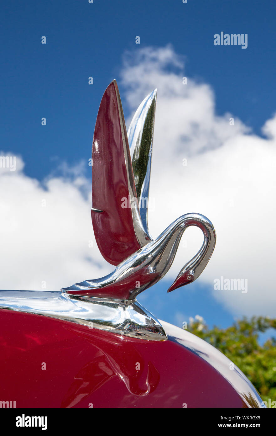 Closeup of a classic 1948 Packard automobile hood ornament on display at a classic car show in Matthews, North Carolina. Stock Photo
