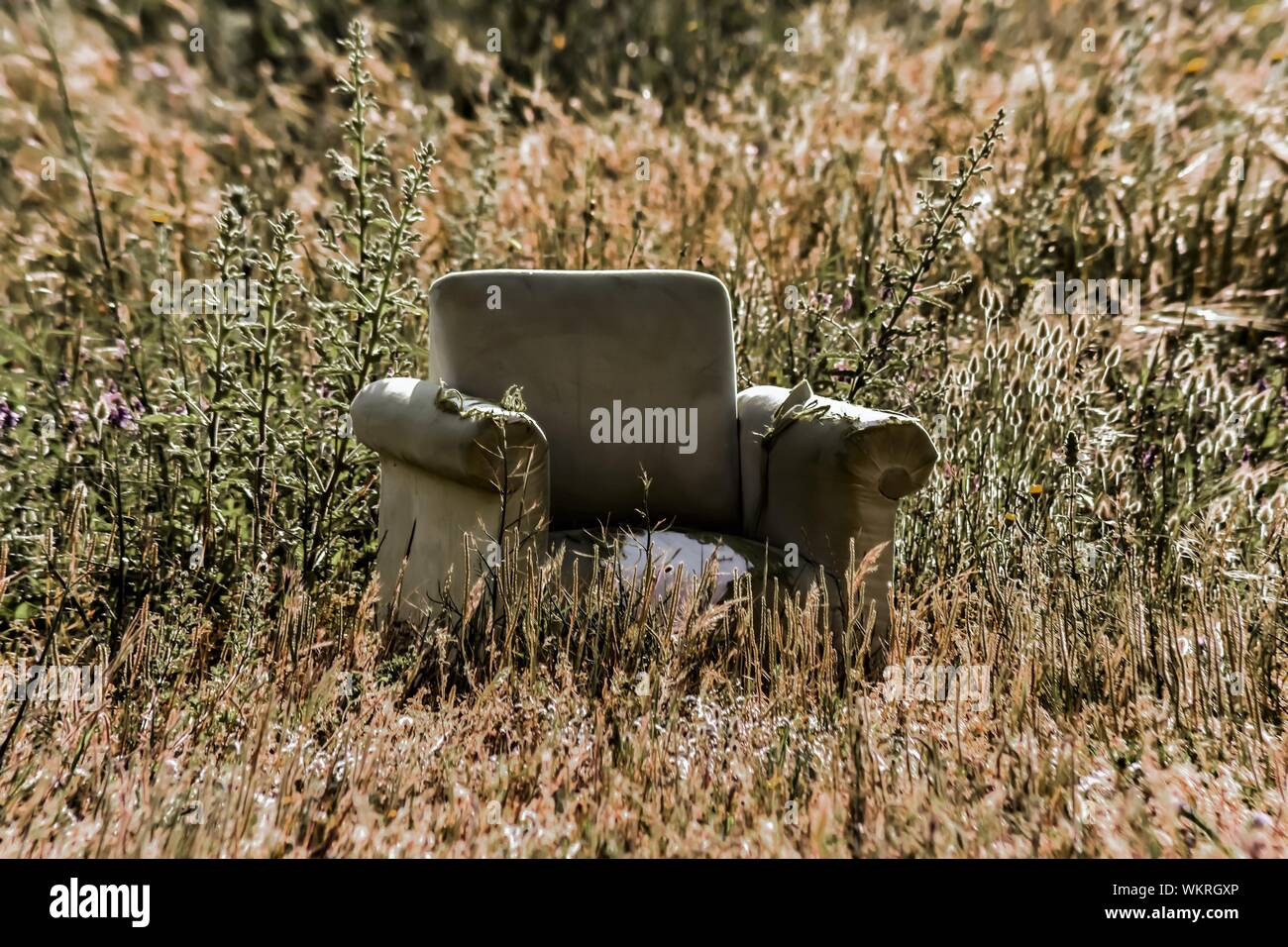 Abandoned Armchair Hi-res Stock Photography And Images - Alamy