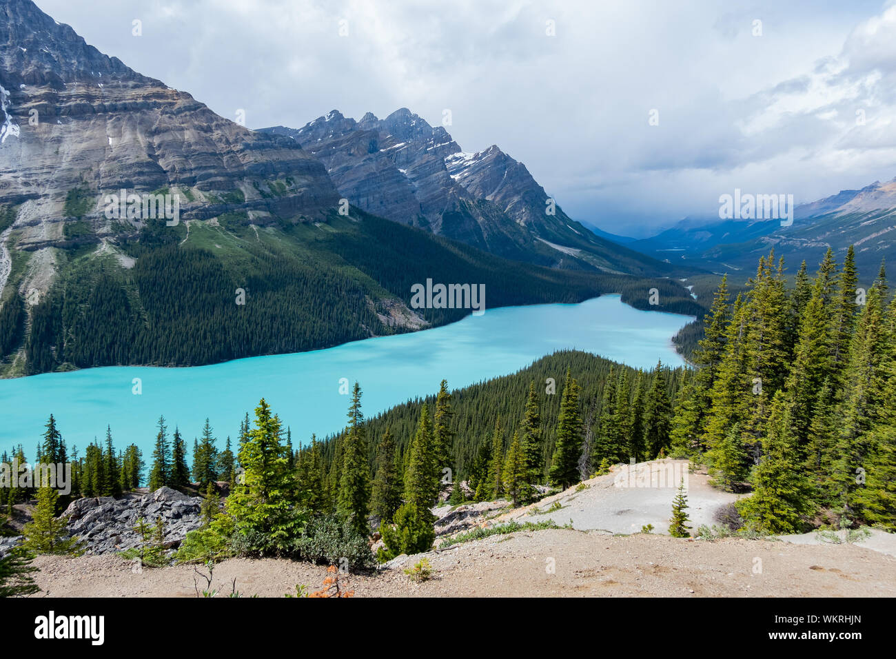 Aerial view of the beautiful Peyto Lake at Banff National Park, Canada ...