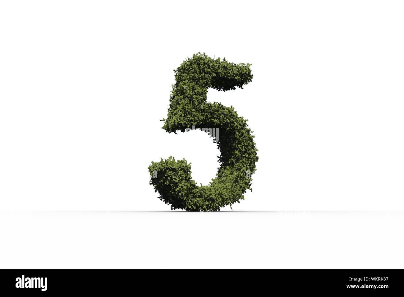 Number five green leaves hi-res stock photography and images - Alamy