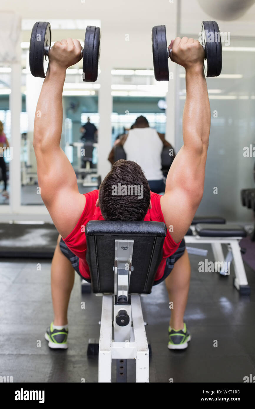 Bodybuilder Lying On Bench Lifting Dumbbells At The Gym Stock