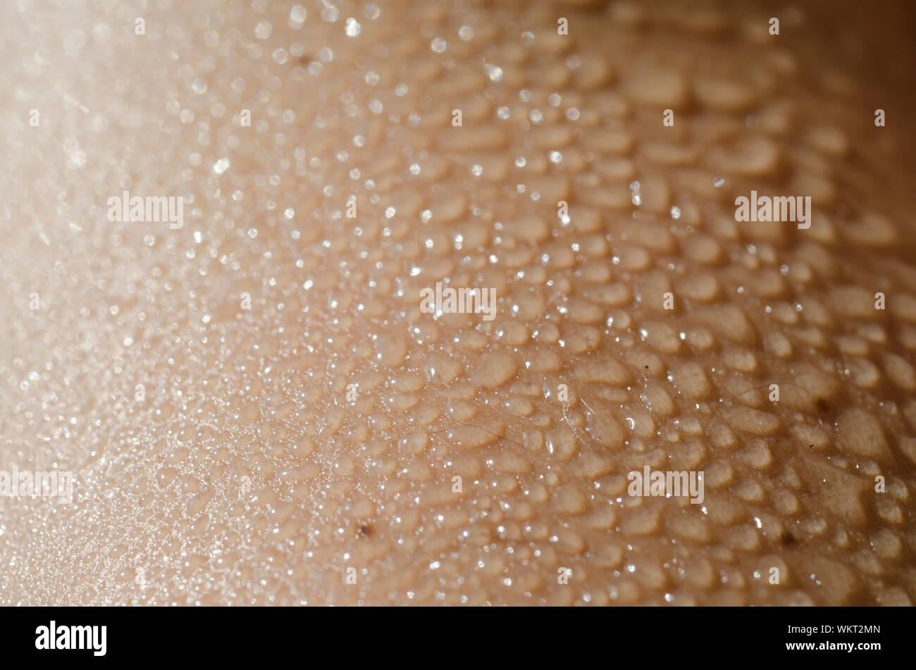 Skin wet hires stock photography and images Alamy